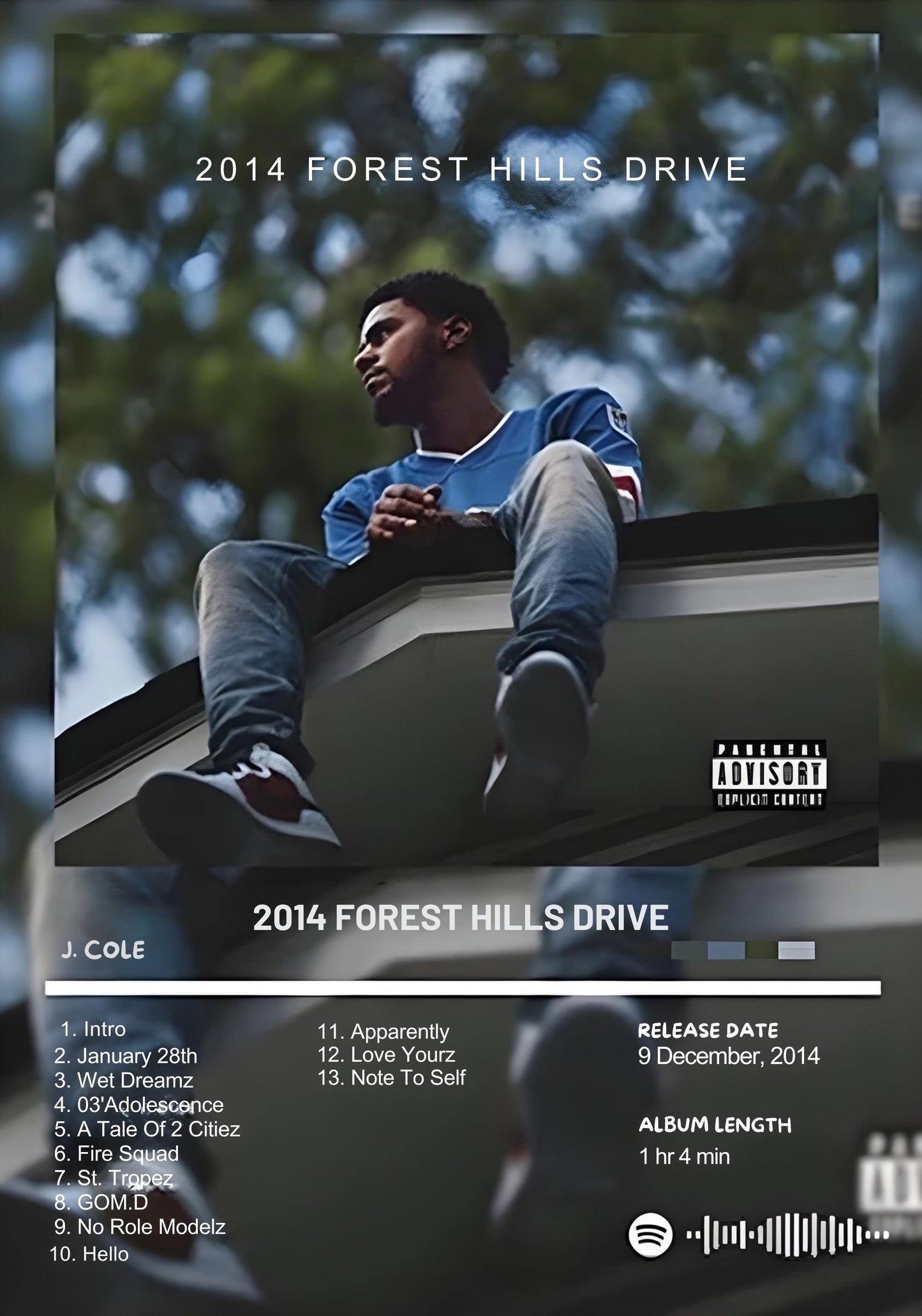 Vibrant Forest Scene | Modern Nature Landscape