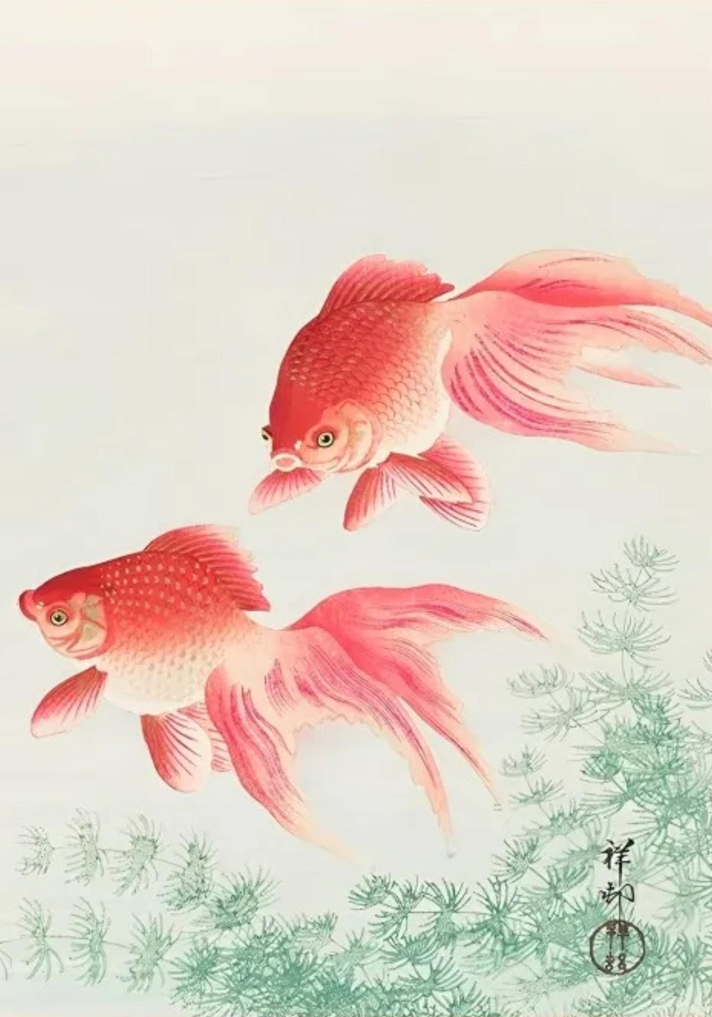Hakusai Ohara | Two Veil Goldfish