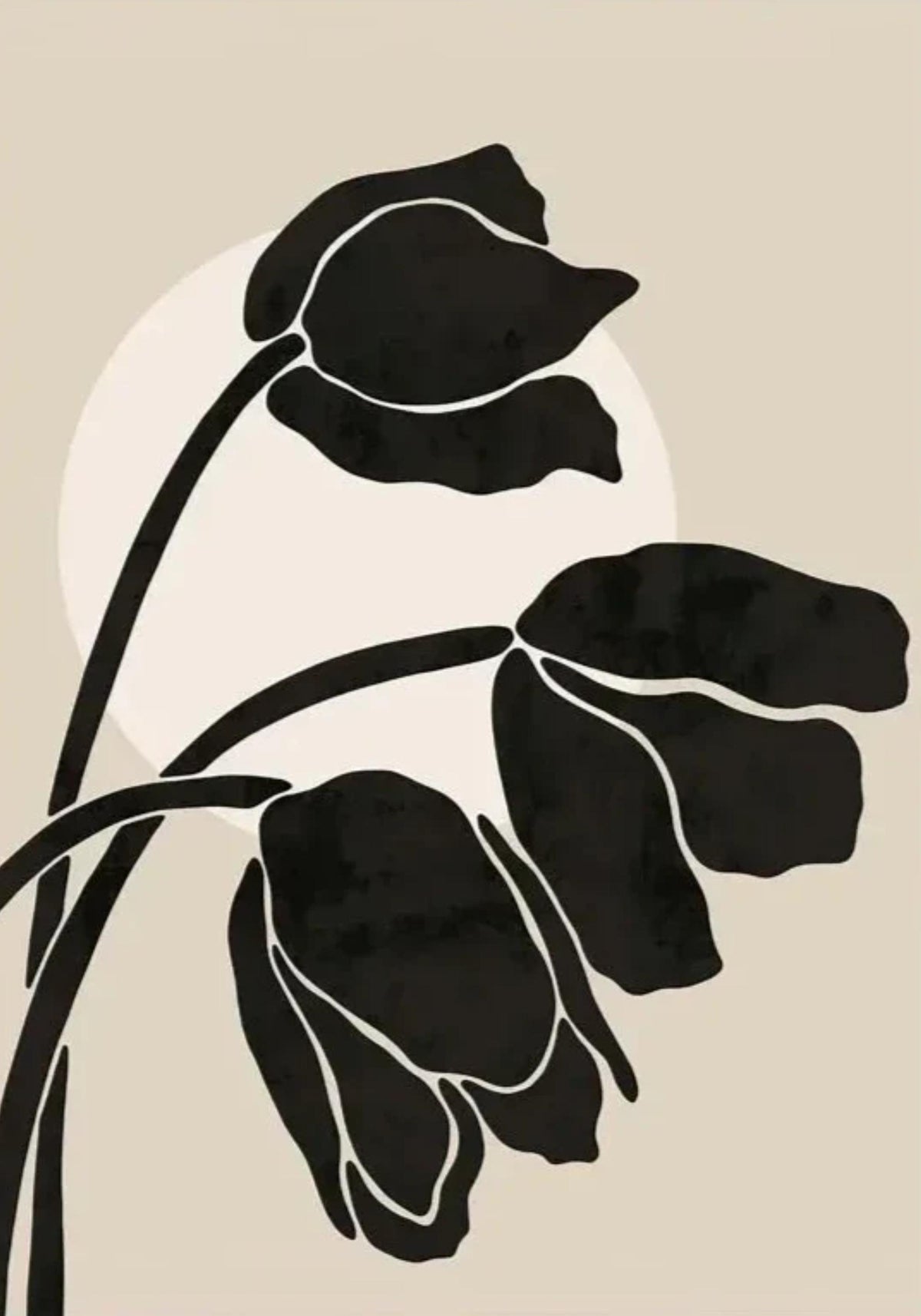 MINIMALIST FLORA