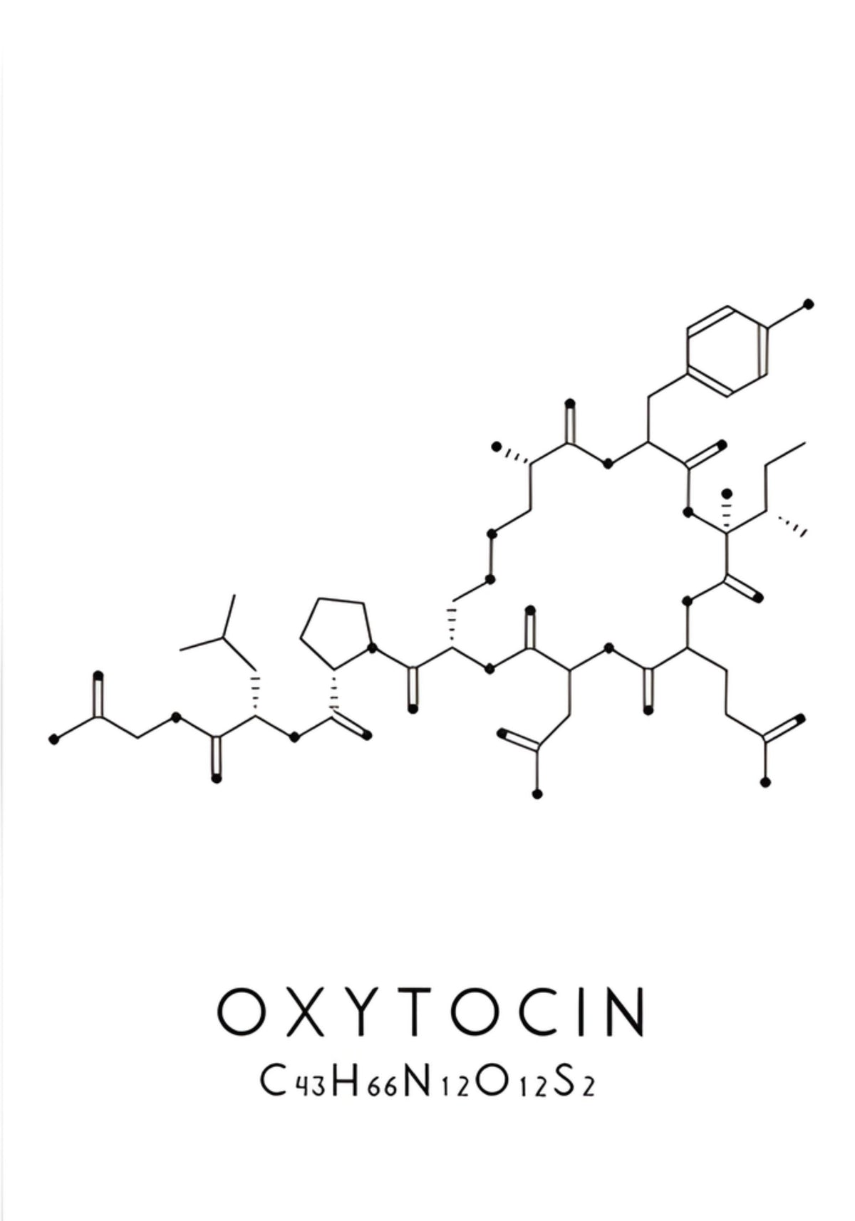 MOLECULE HARMONY