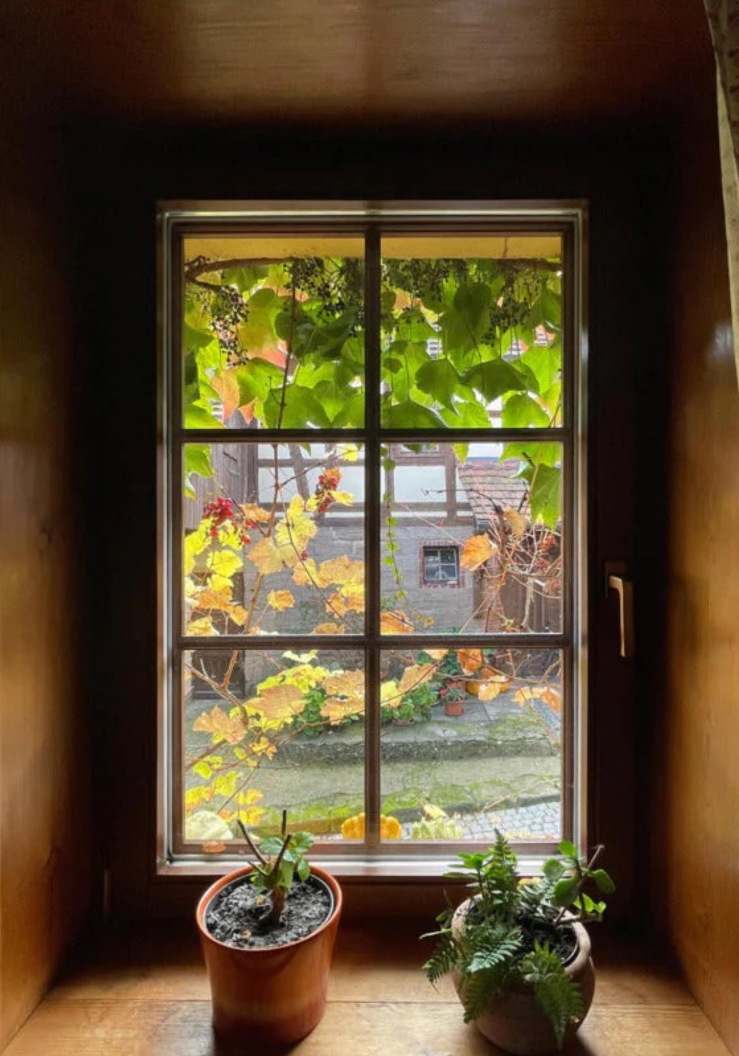 Herbstfenster Margersdorf