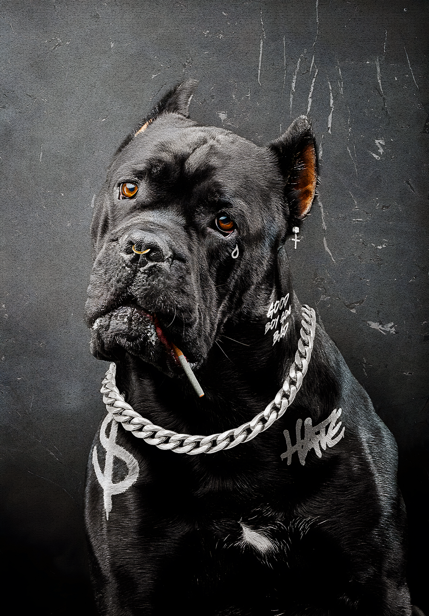BLACK DOG STREET ART
