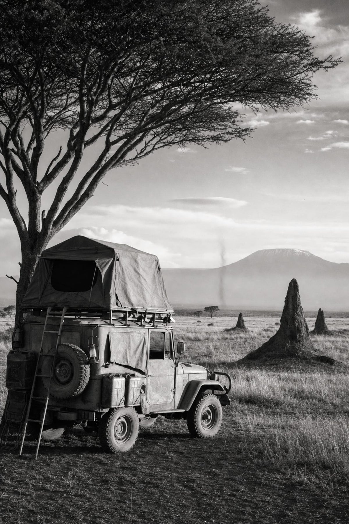 ADVENTURE SAFARI