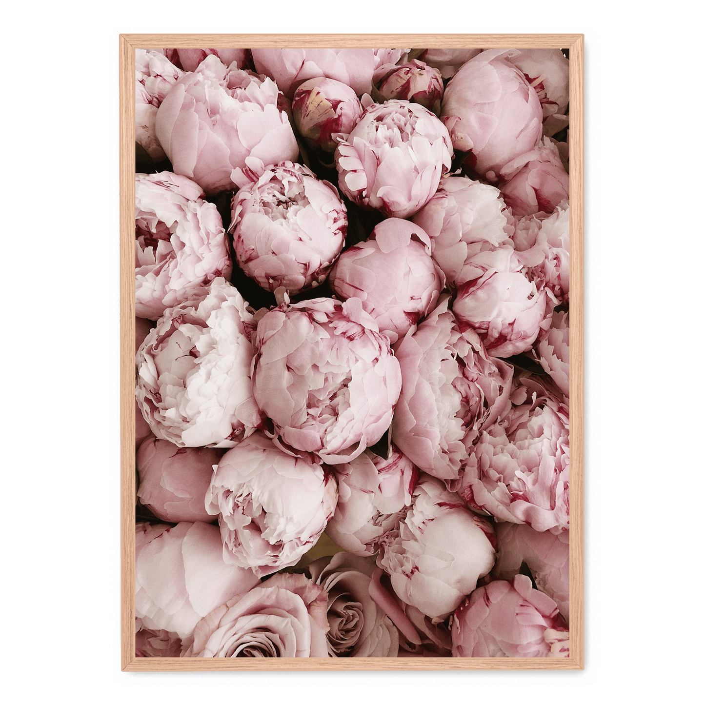Pink Rose Blooms | Floral Print Art | Wall Decor Poster | Romantic Home Decoration | Vibrant Nature Artwork | Garden-Inspired Visuals | Perfect for Living Room, Bedroom, or Office Decor