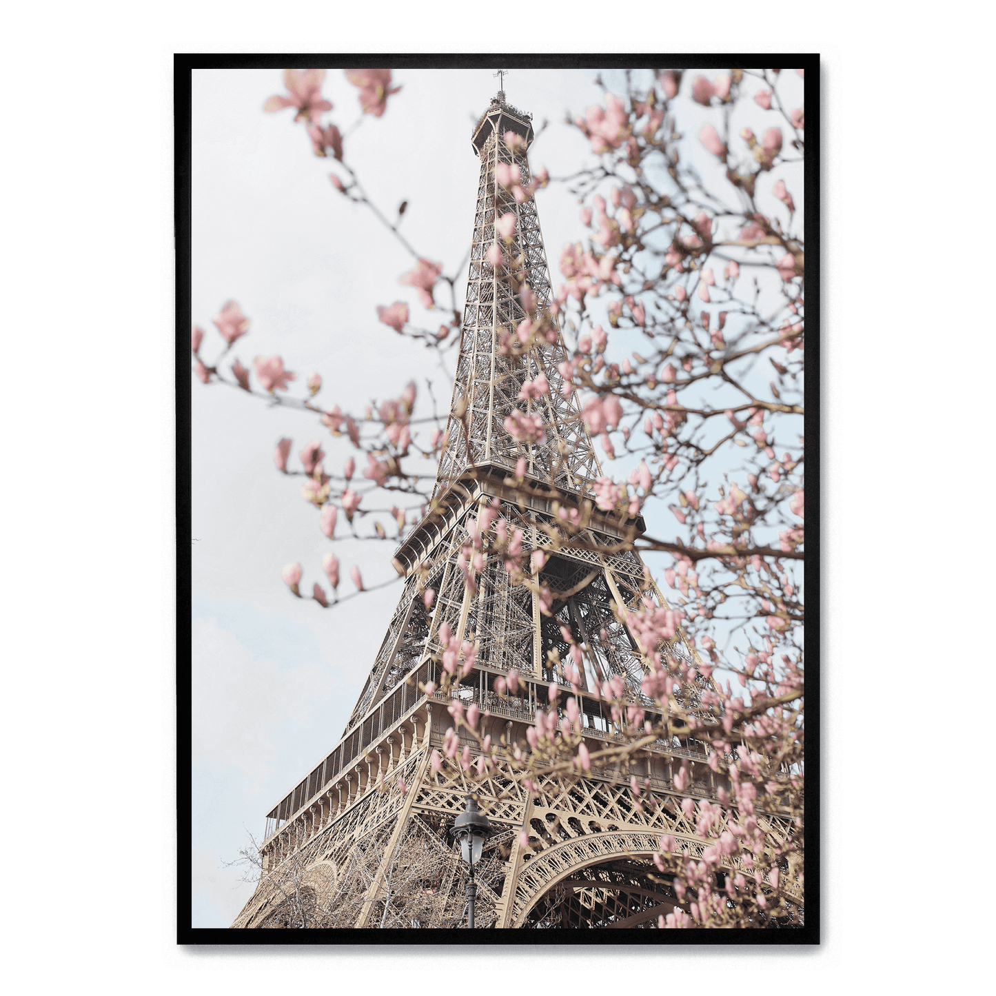 Poster | Eiffel Tower with Flowers | Artistic Home Decor Wall Art