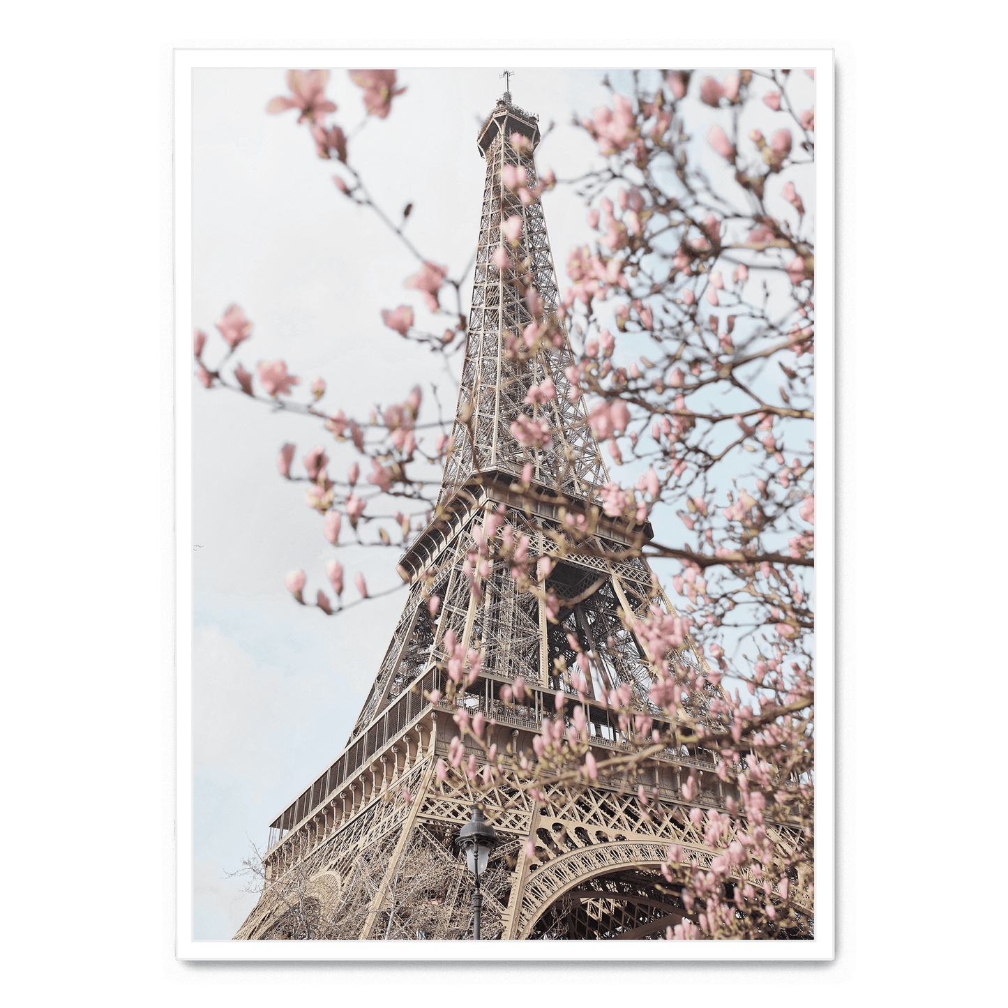 Poster | Eiffel Tower with Flowers | Artistic Home Decor Wall Art