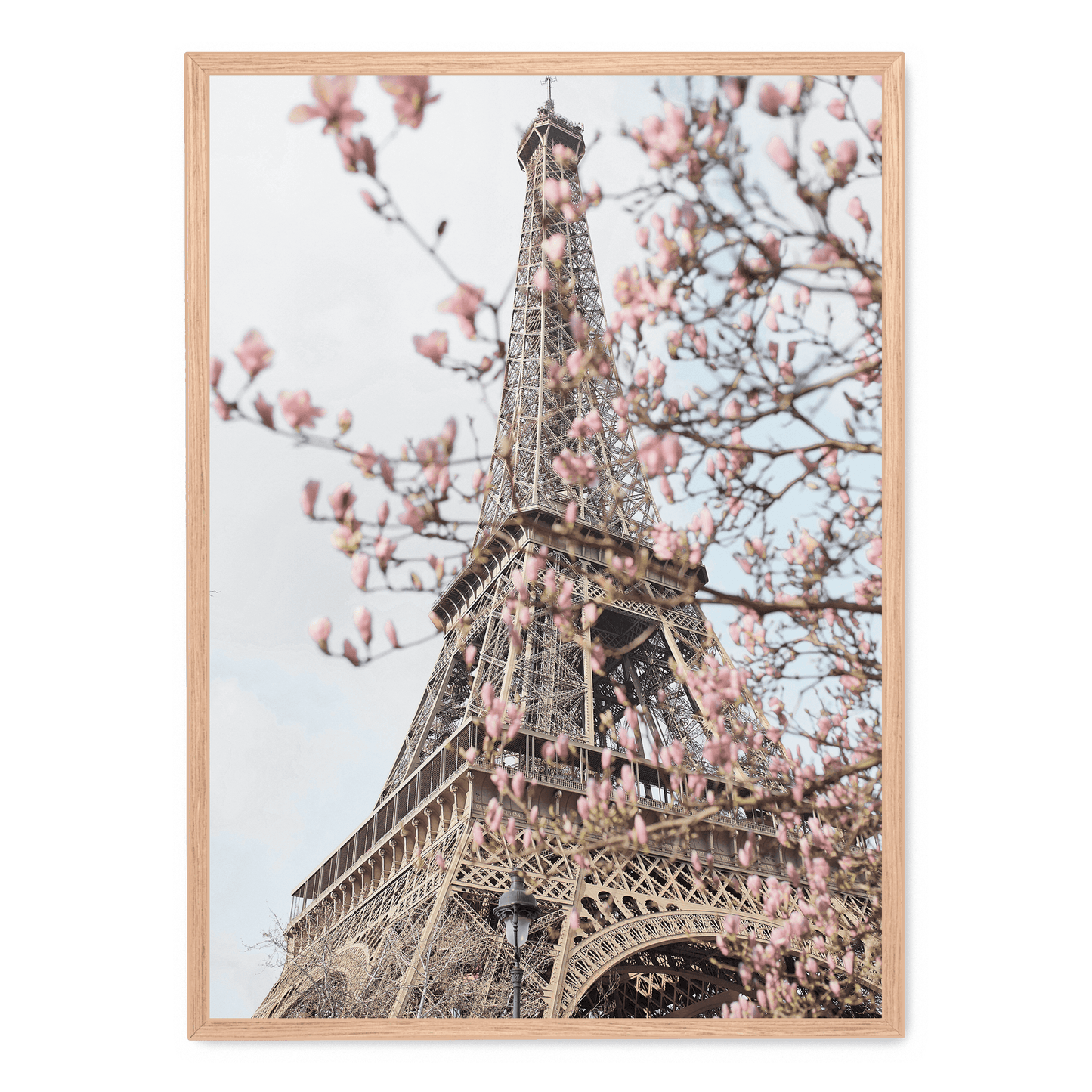 Poster | Eiffel Tower with Flowers | Artistic Home Decor Wall Art