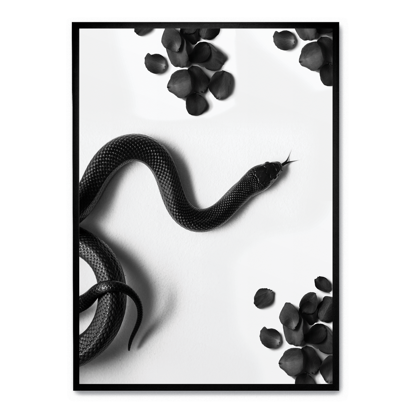 Black Snake Roam | Wildlife Art Print | Nature Illustration Poster | Wall Decor | Home Decoration | Snake Artwork | Animal Poster