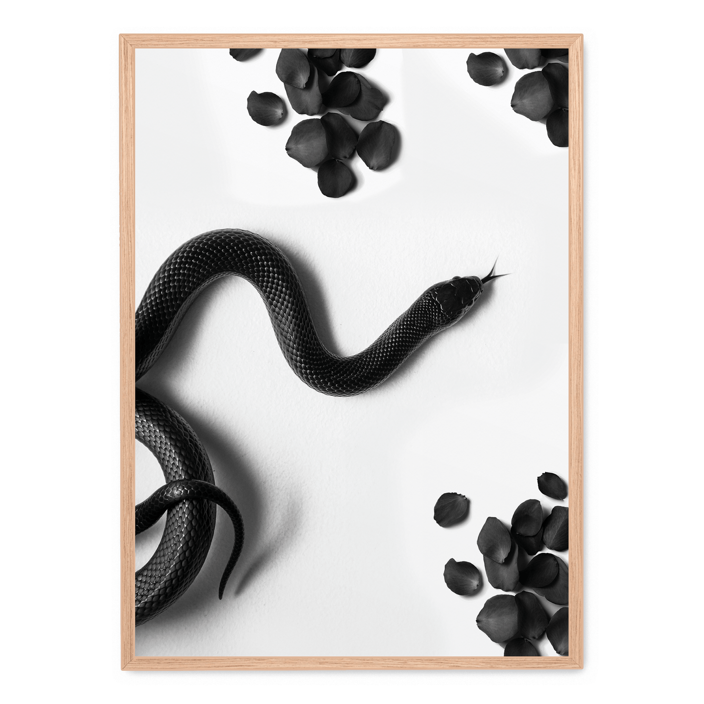 Black Snake Roam | Wildlife Art Print | Nature Illustration Poster | Wall Decor | Home Decoration | Snake Artwork | Animal Poster