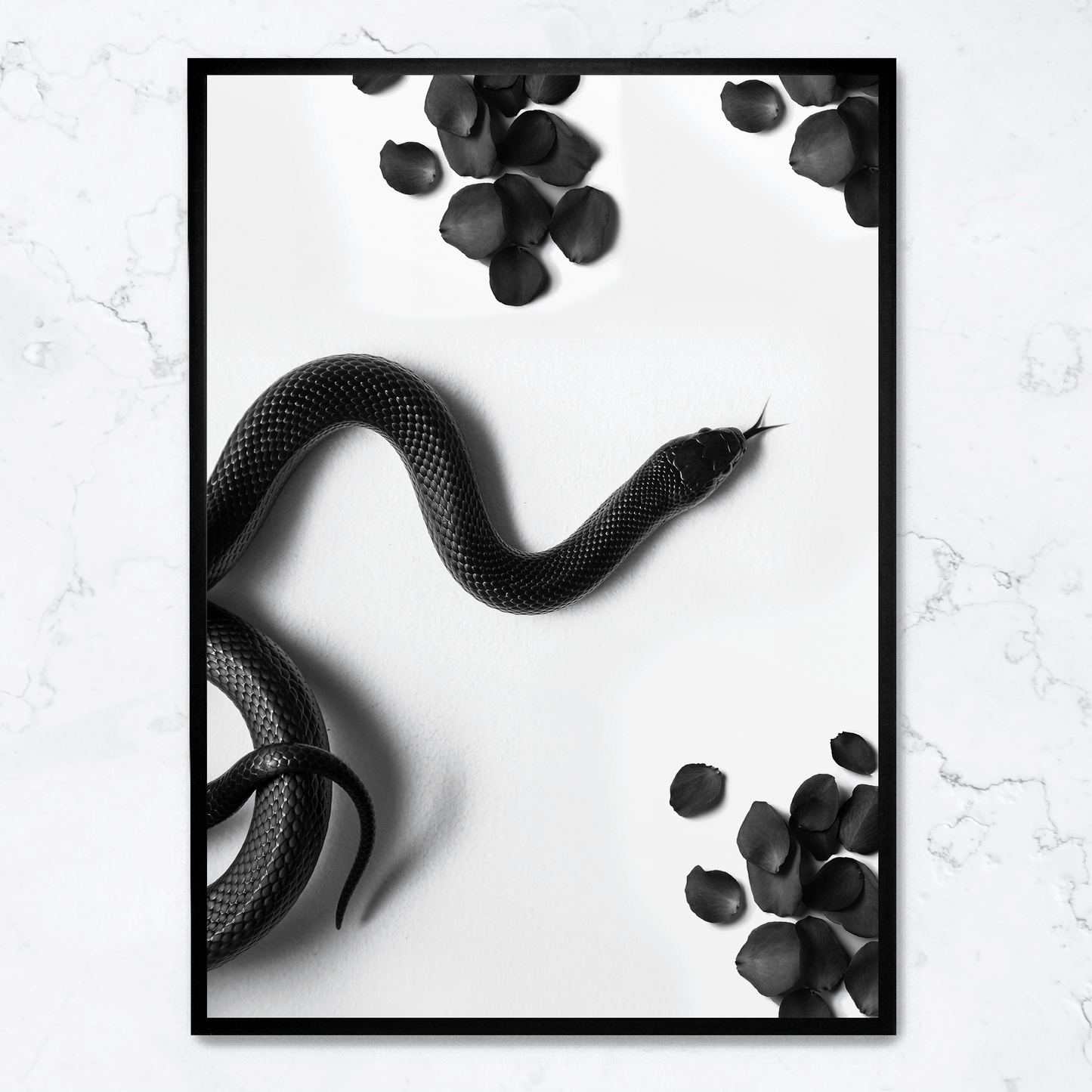 Black Snake Roam | Wildlife Art Print | Nature Illustration Poster | Wall Decor | Home Decoration | Snake Artwork | Animal Poster
