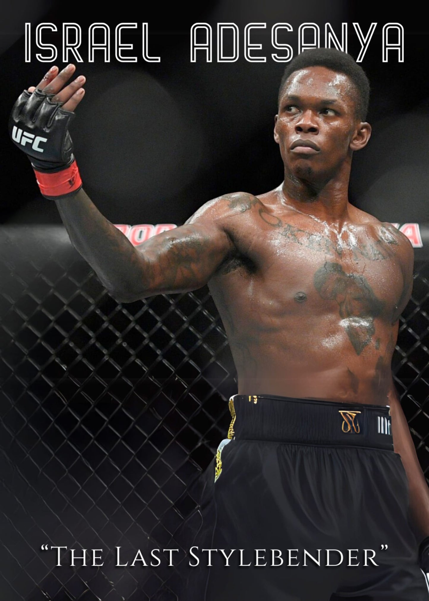 Israel Adesanya UFC Poster 'The Last Stylebender' MMA Champion Wall Art