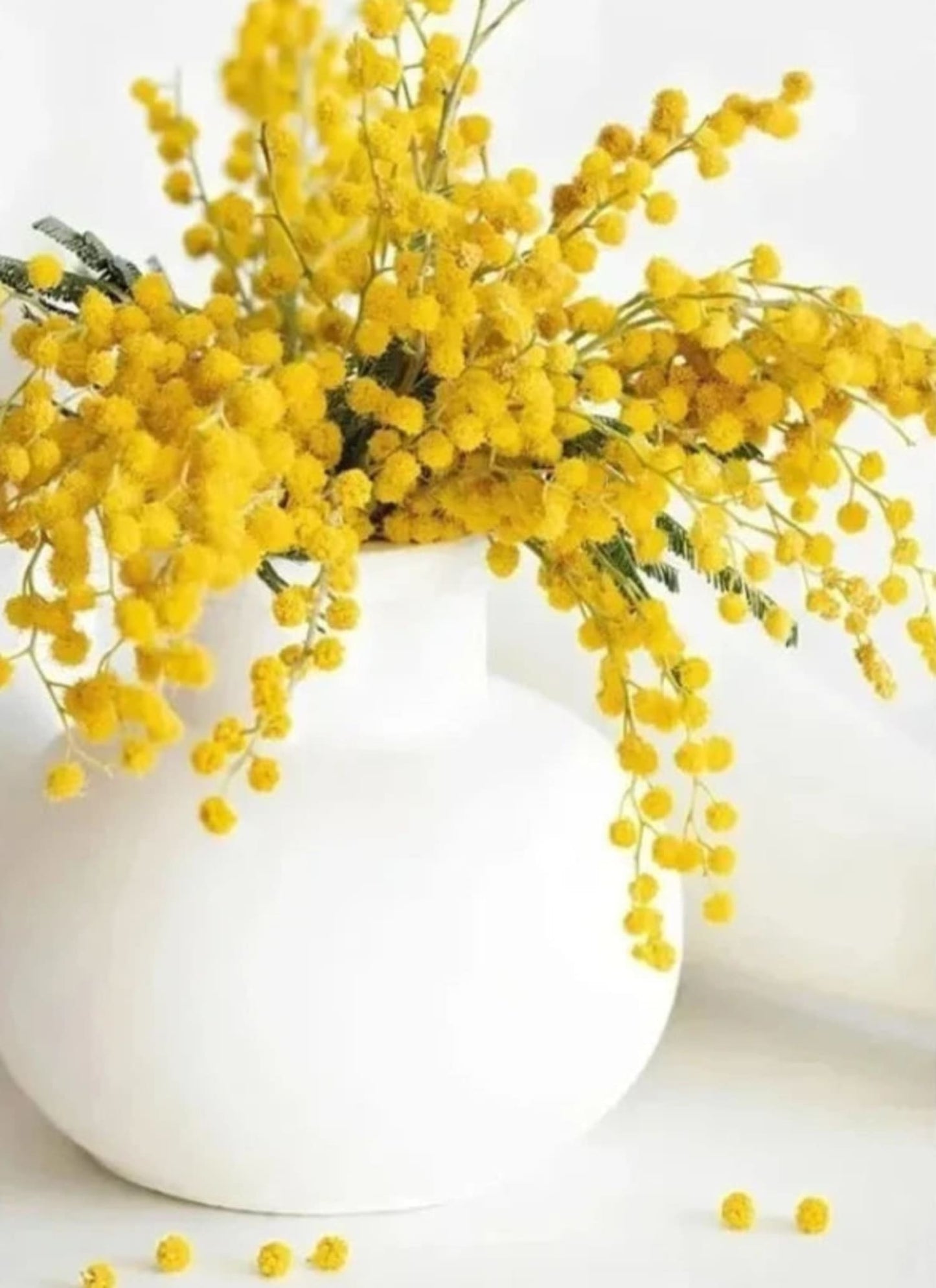 Sunflowers & Windmill Poster | Rustic Farmhouse Decor | Nature Art for Home & Garden | Visual Artwork