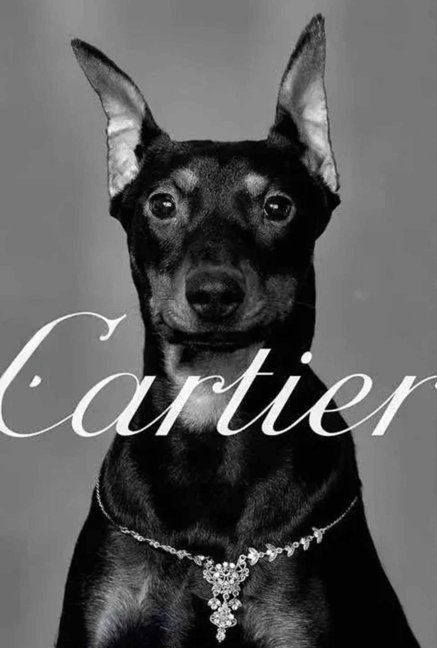 Cartier Poster | Pinscher Photoshoot Silhouettes | Skylines Tribute to Fashion Legends | Parisian Shopping Art Decor