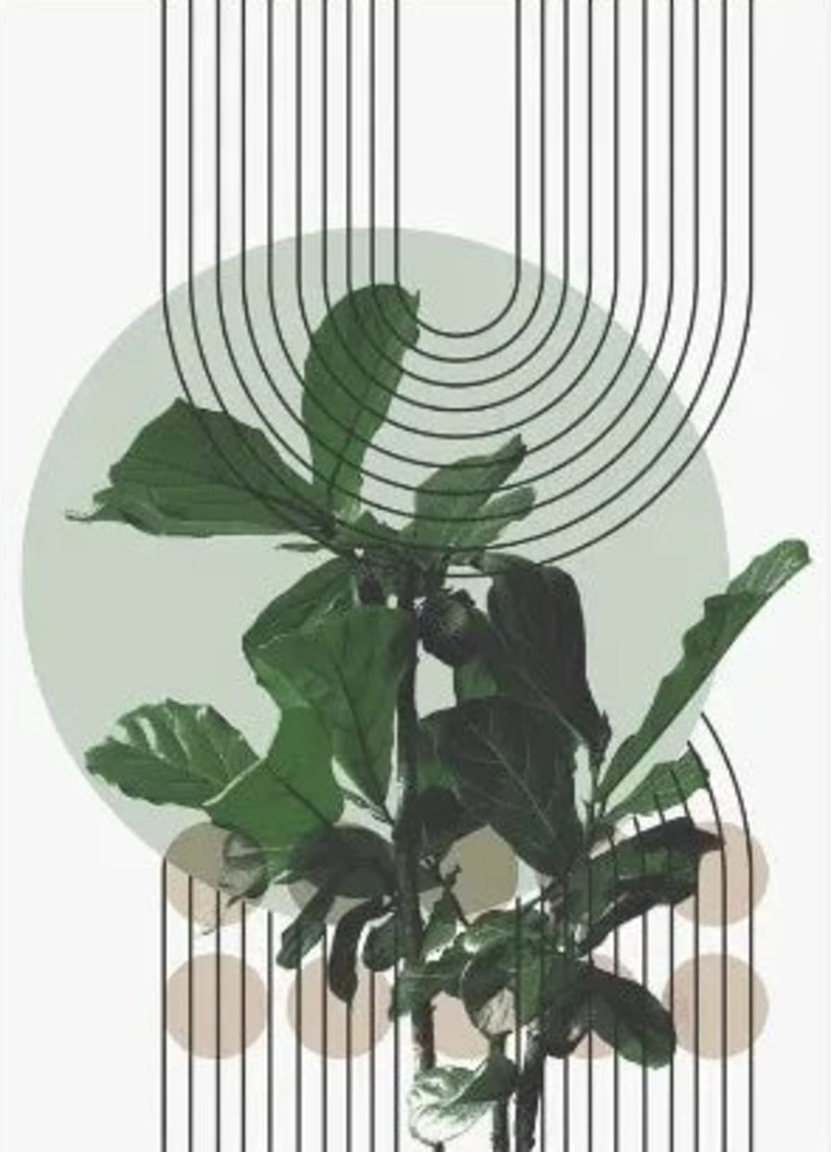 THE HARMONY OF NATURE