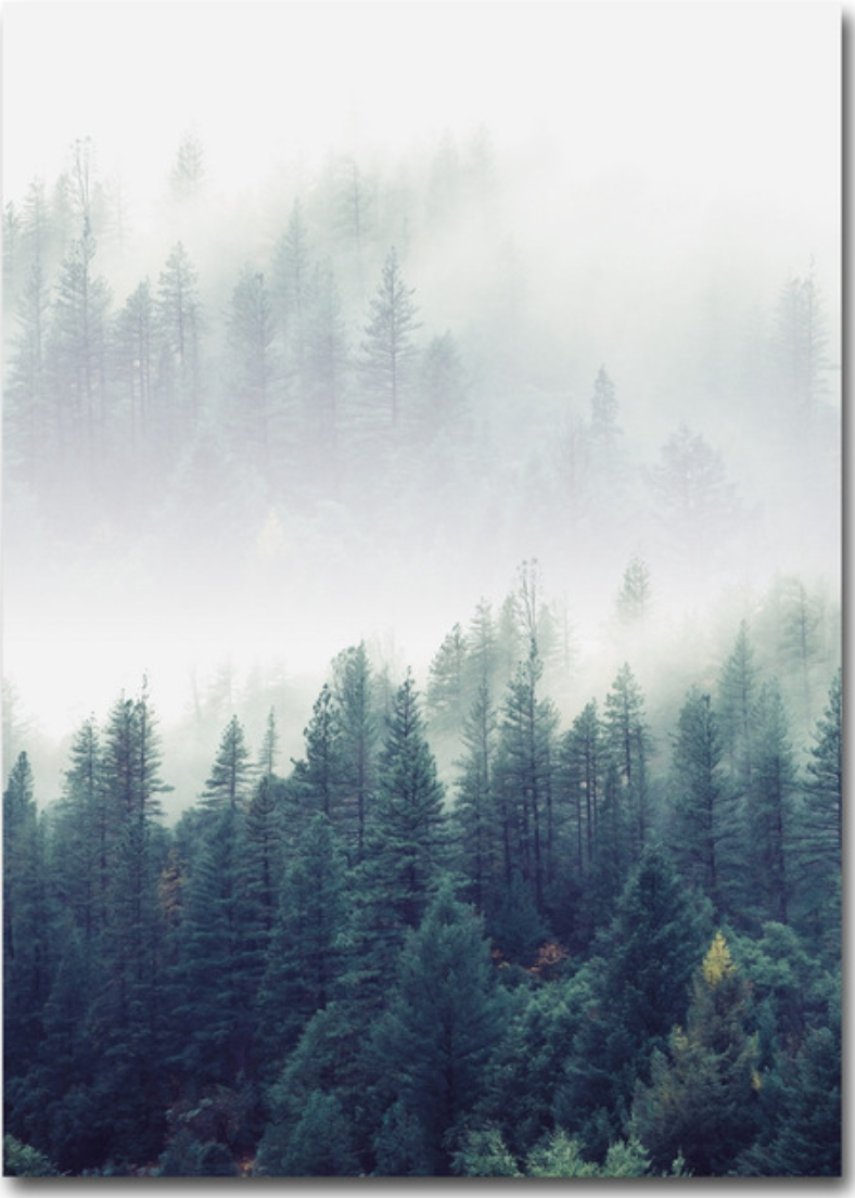 Birds in Deep Fog | Triptych Poster Set | Nature Wall Art | Misty Forest Scene | Home Decor