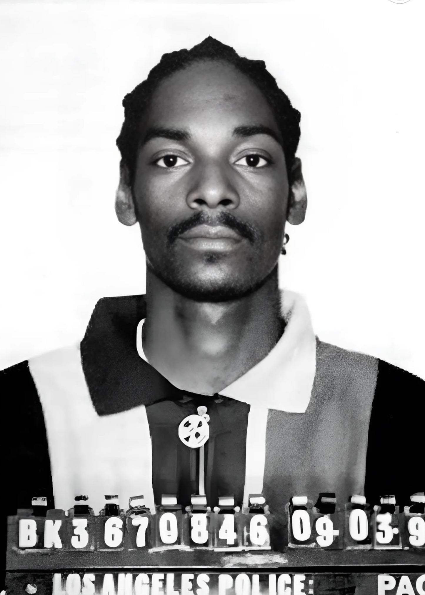 Snoop Dogg Retro Mugshot | Iconic Music Poster