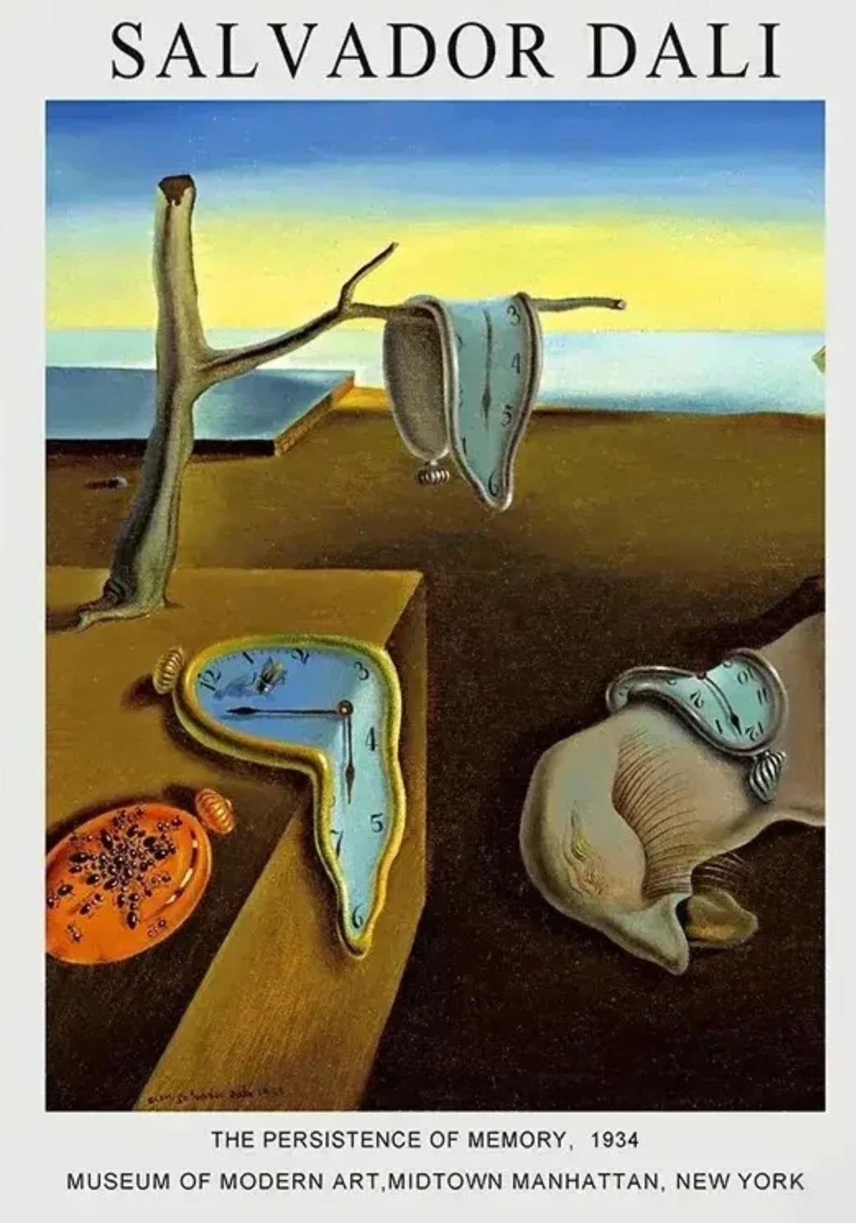 THE PERSISTENCE OF MEMORY