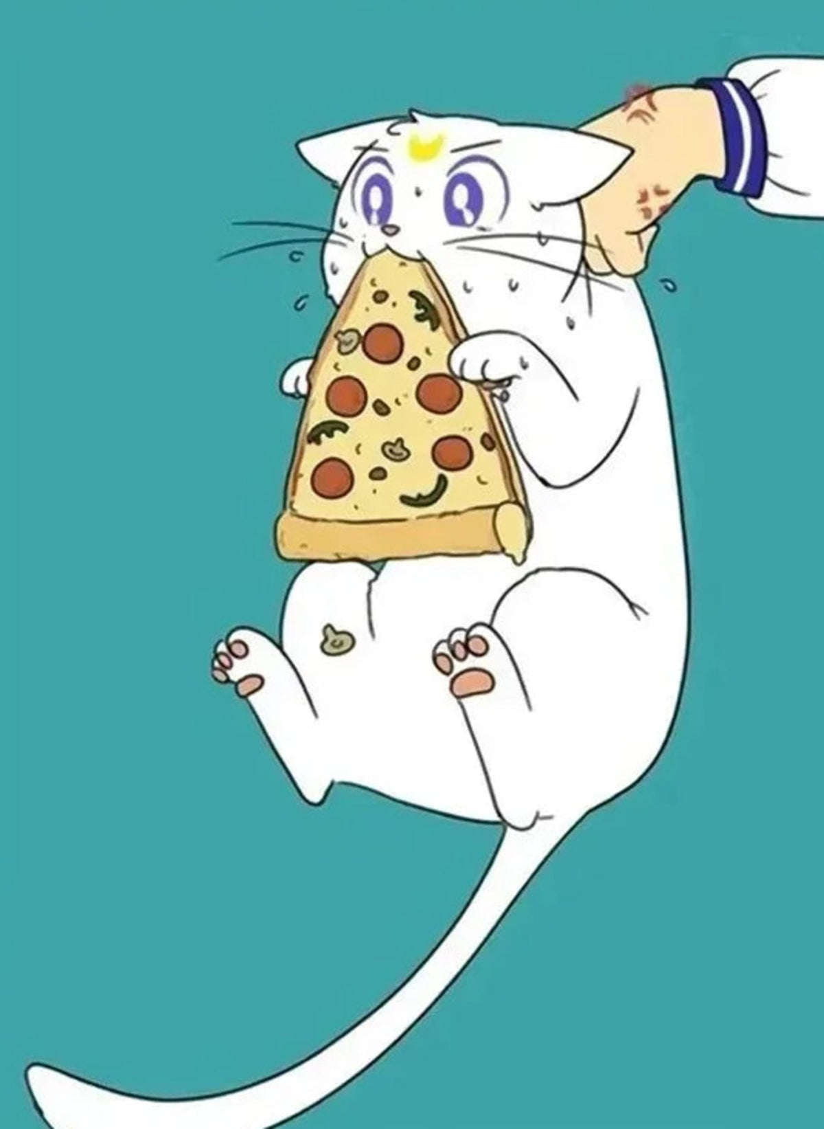 PIZZA PAWS ANIME CAT