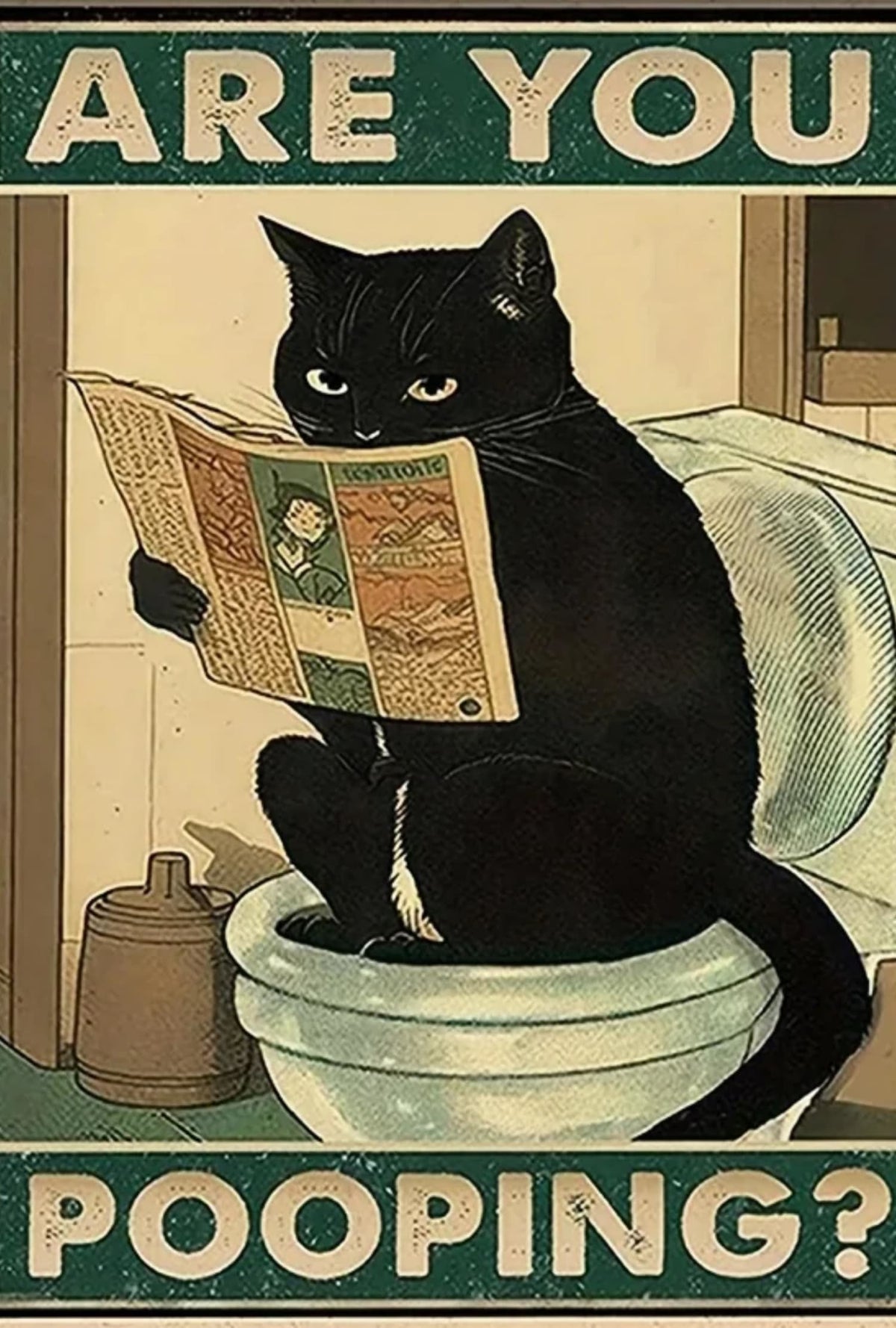 BLACK CAT CHRONICLE