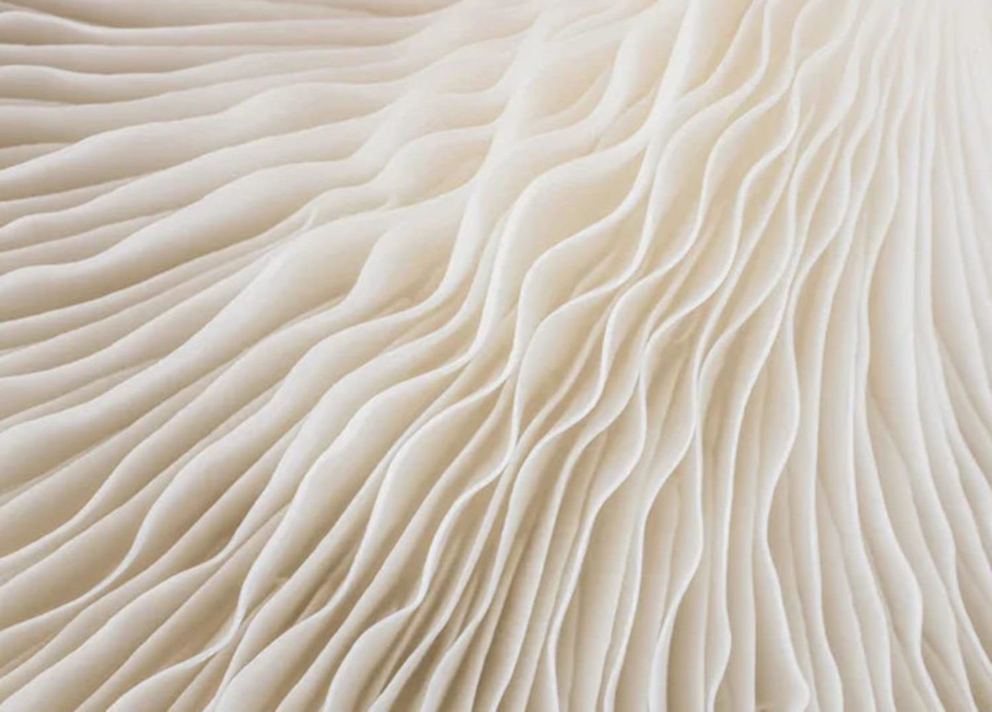 Shapes in Harmony | Artistic Wall Decor | Bold Geometric Poster | Modern Home Decor | Multicolor Art Print