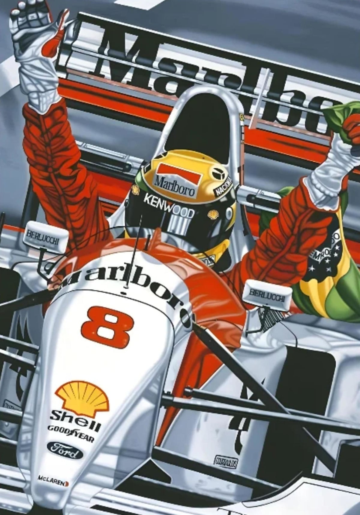 SENNA'S DESTINY