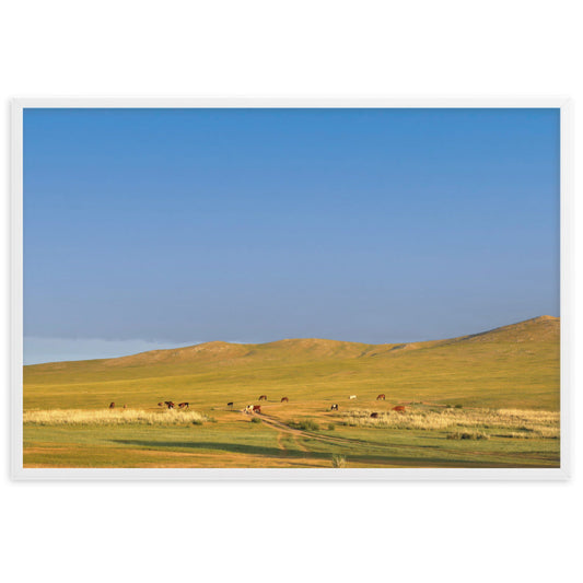 Poster - Steppe on a calm morning, Mongolia