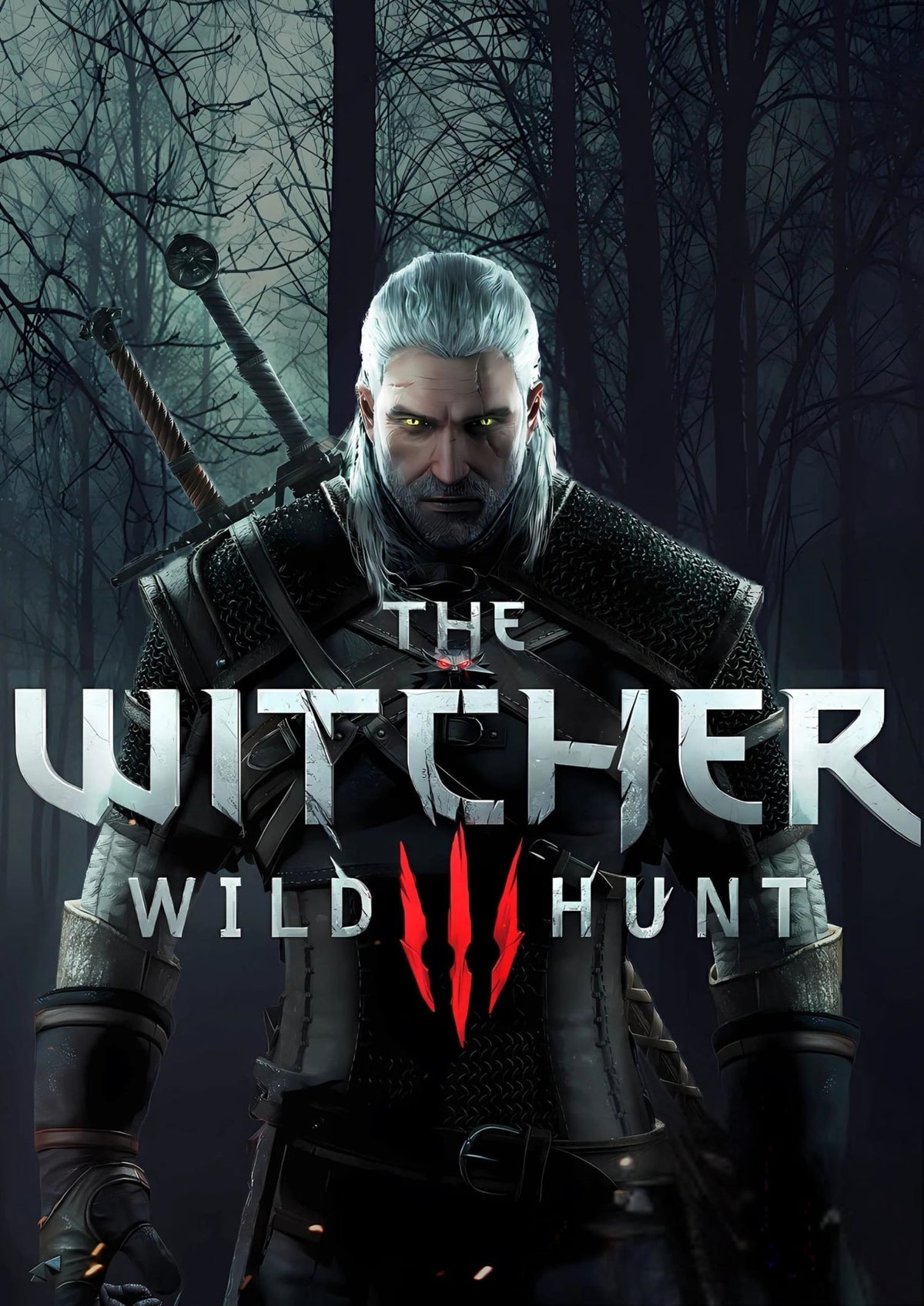 THE WITCHER WILDHUNT