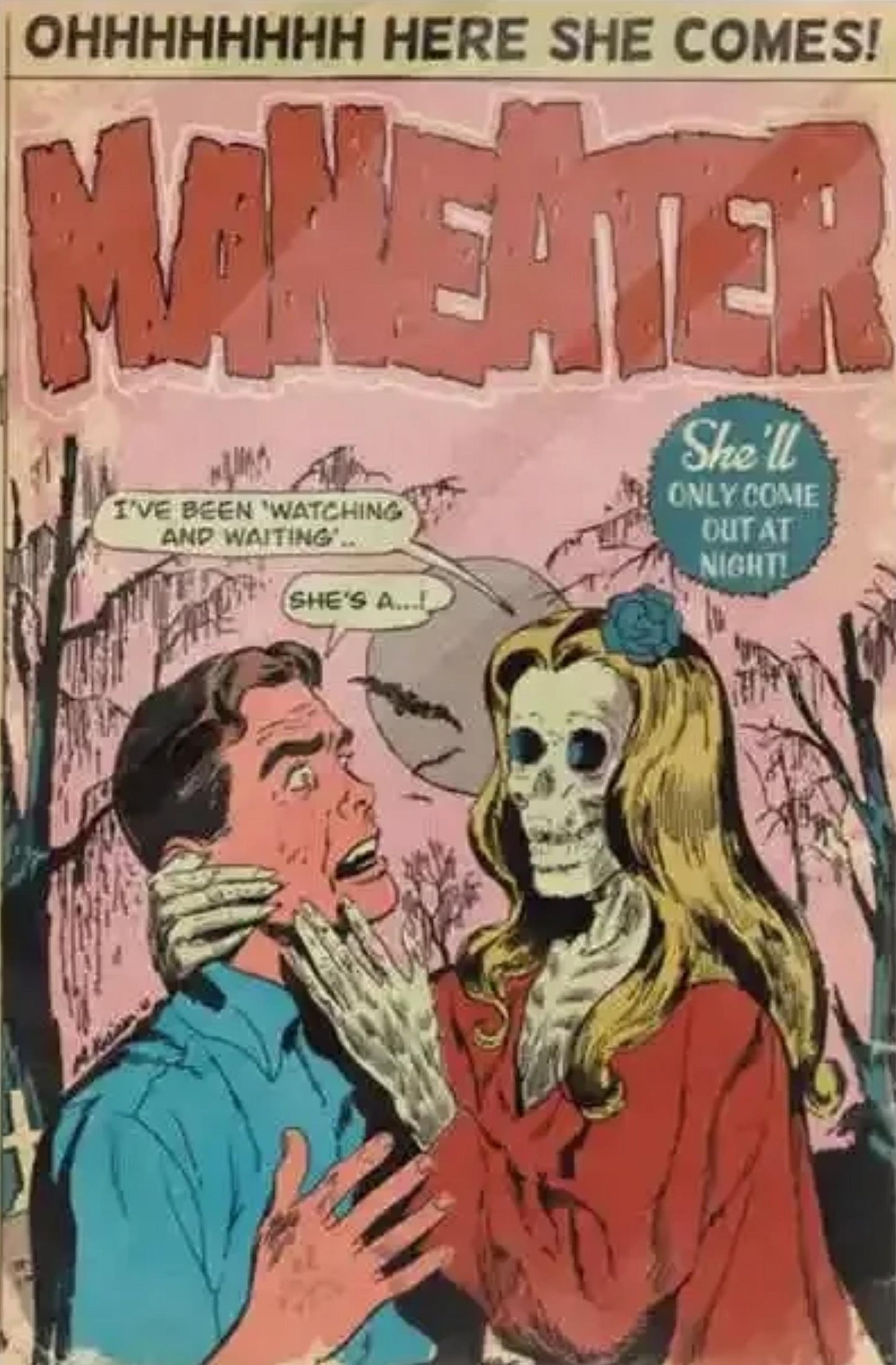 Daryl Hall & John Oates | Maneater Comic Poster