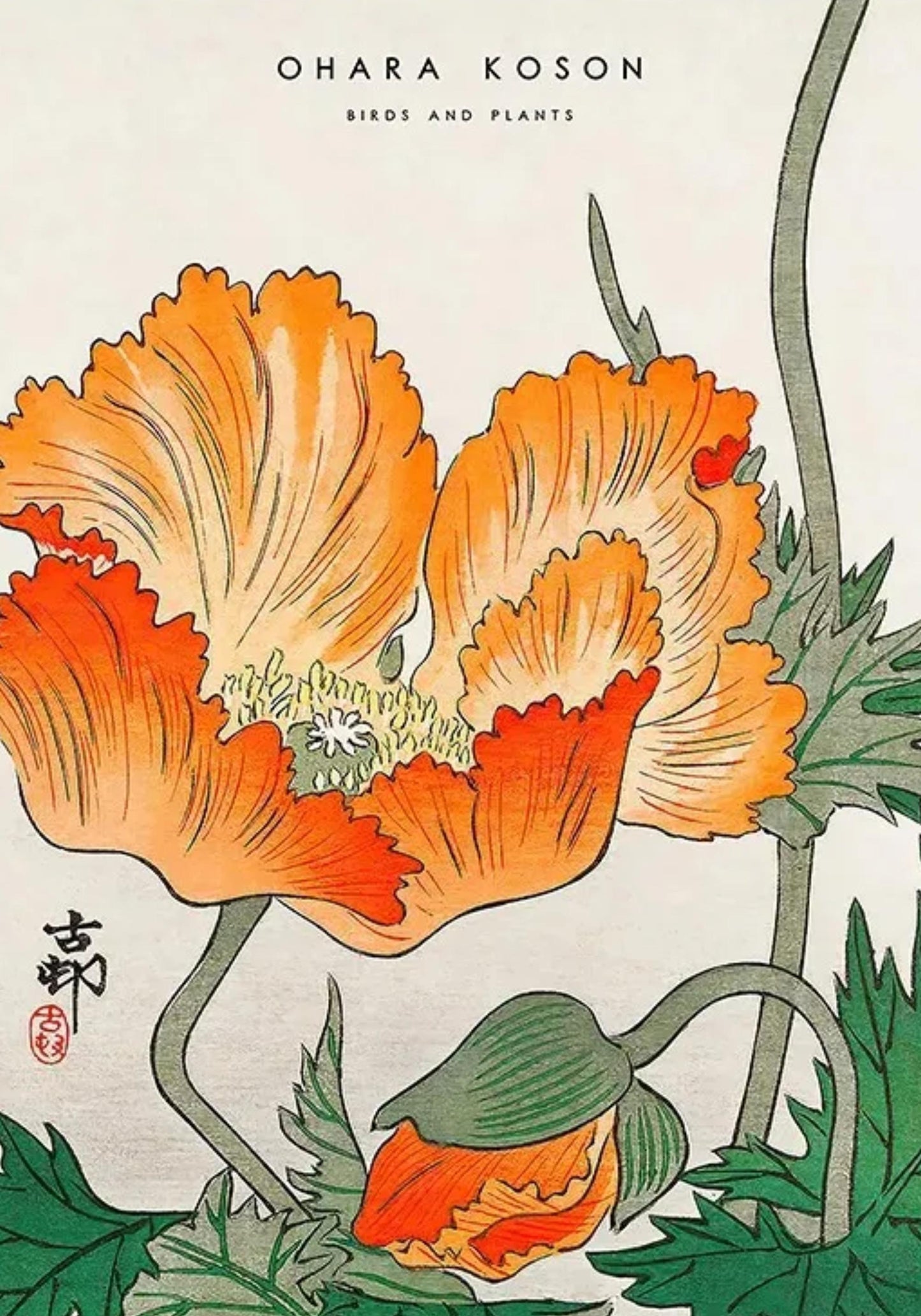 Ohara Koson | Birds & Plants Ukiyo-e | Vintage Style