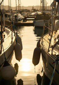 A SUMMER EVENING