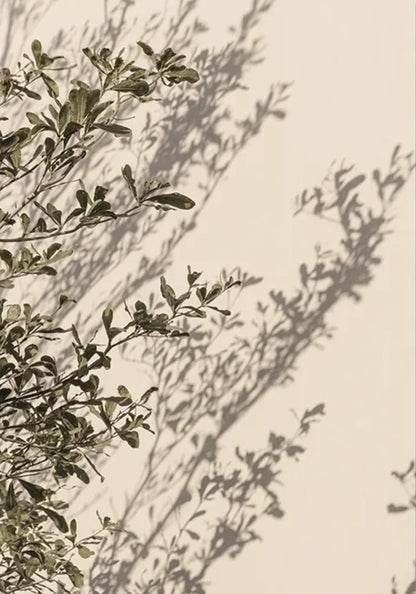 Italian Town Floral | Vibrant Garden Scene