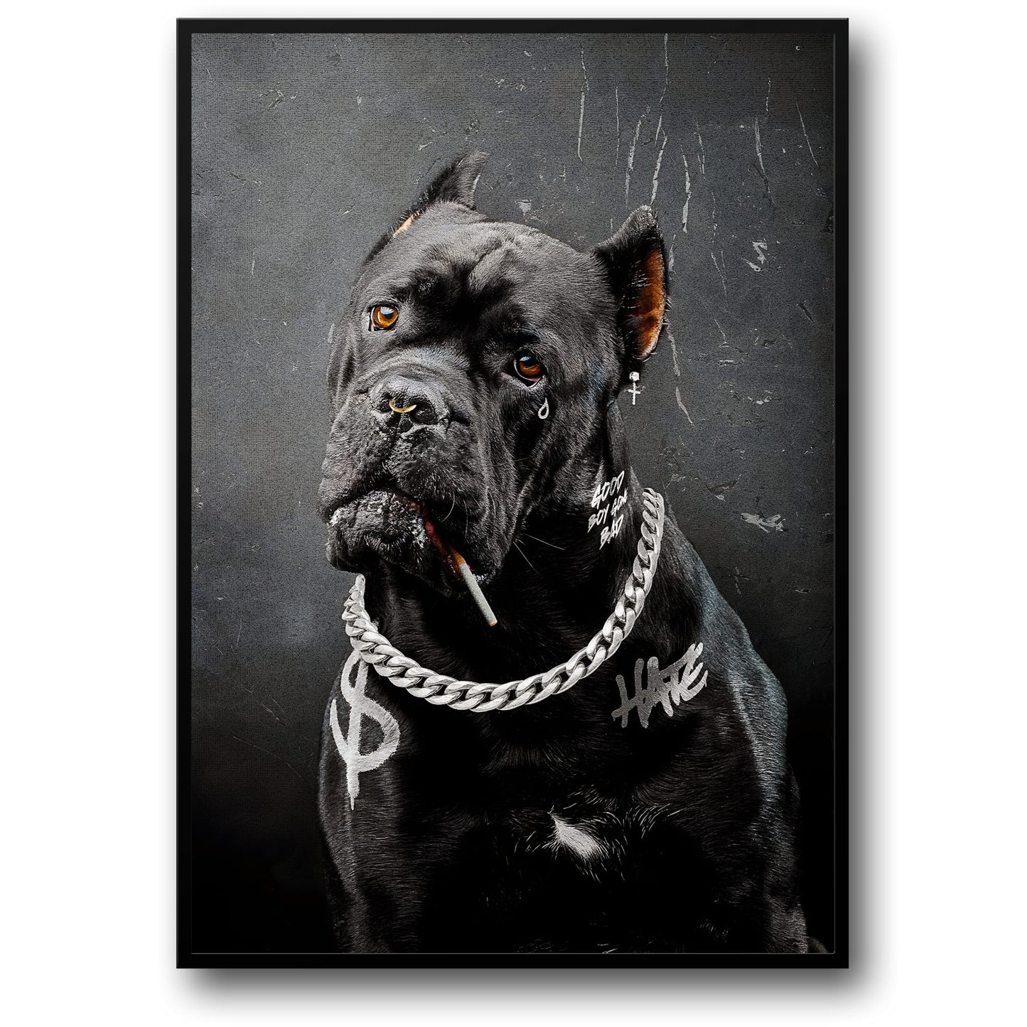 Black Dog Graffiti | Urban Street Art