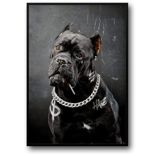 Black Dog Graffiti | Urban Street Art