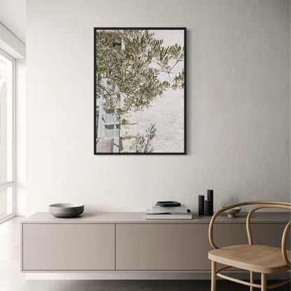 Olive Garden Italy | Echoes of Heritage