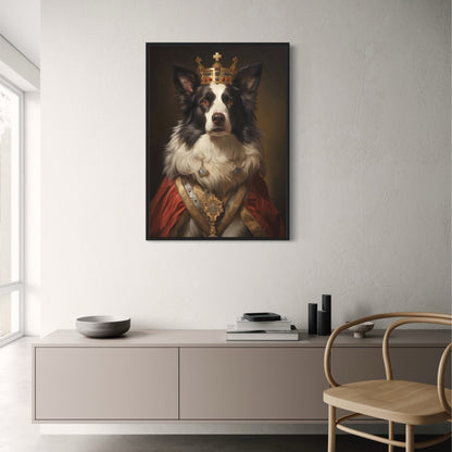 Border Collie Portrait | Royal Red Cloak