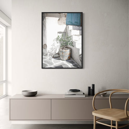 Italy Olive Garden | Vintage Landscape Scenery