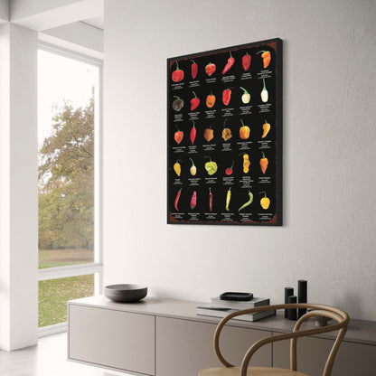 Vintage Kitchen | Peppers & Chillis