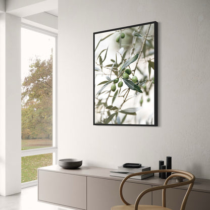 Olive Garden Italy | Timeless Beauty