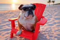 Sunset Beach Bulldog | Vibrant English Bulldog in Sunglasses