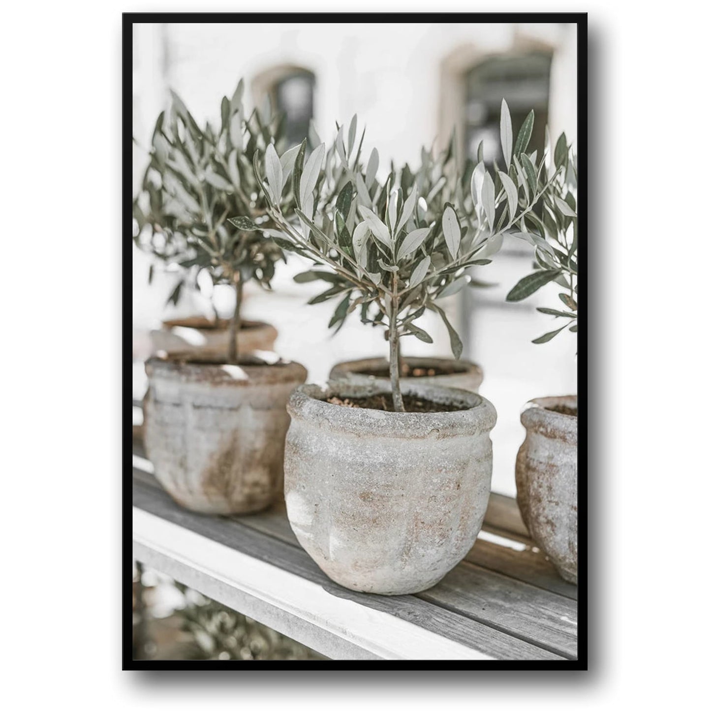 Italy Landscape | Olive Garden Scenery Art