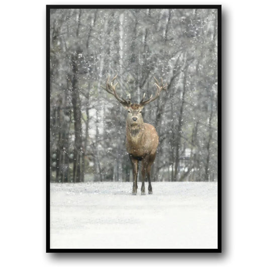 Hi Deer | Winter Editions