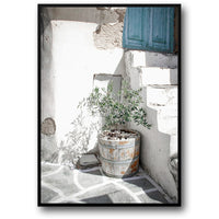 THE OLIVE GROVE