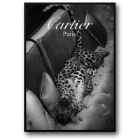 JAGUAR SILHOUETTE: PARIS ELEGANCE