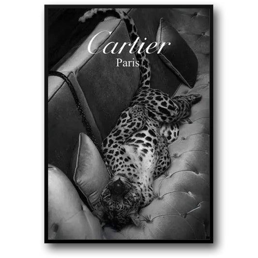 Cartier & Jaguar | Paris Fashion Silhouette