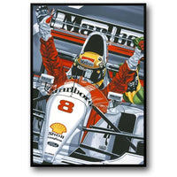 SENNA'S DESTINY