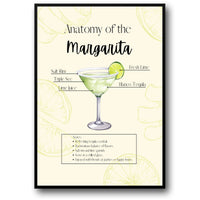MARGARITA ANATOMY