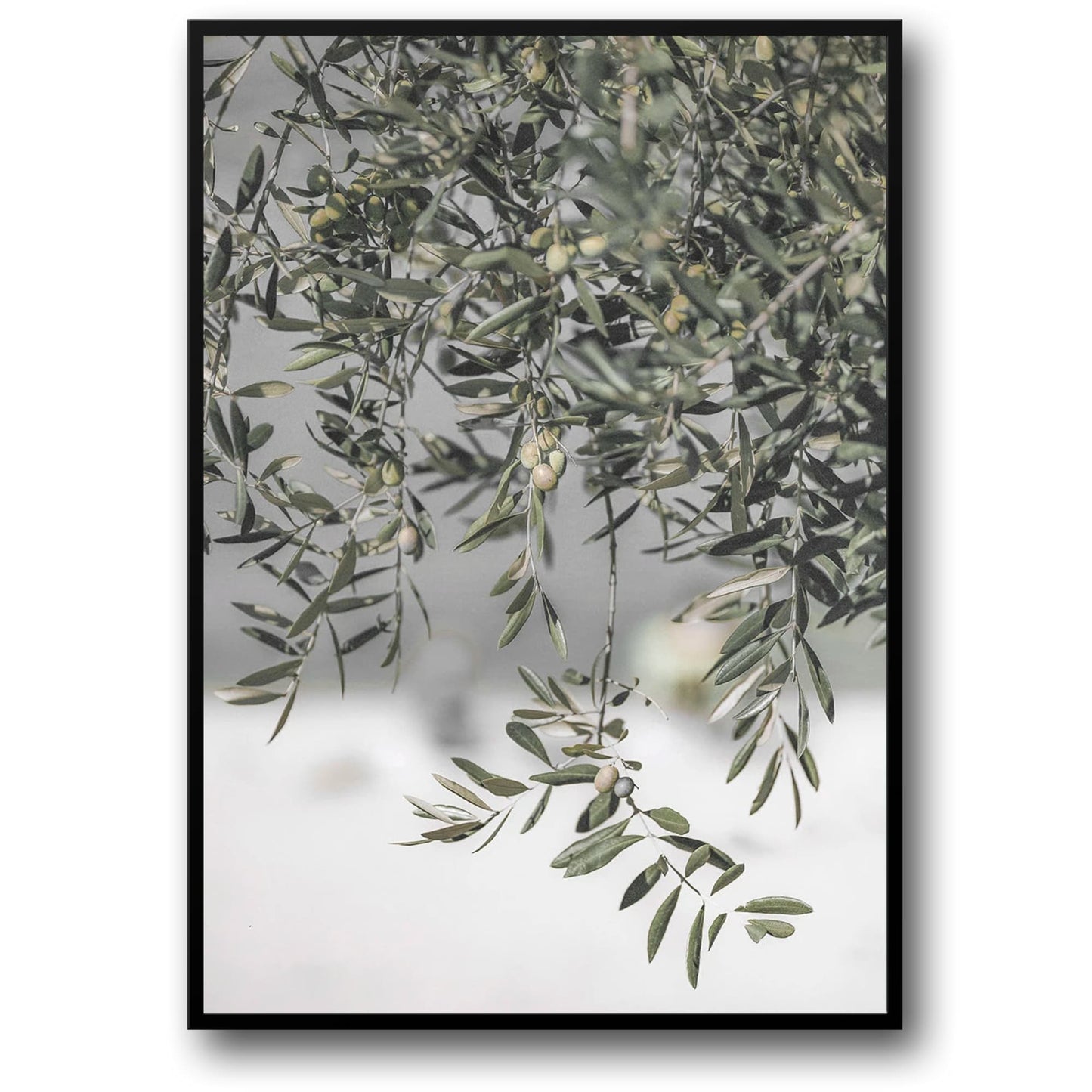 Italy's Olive Garden Landscape | Nature's Embrace Art