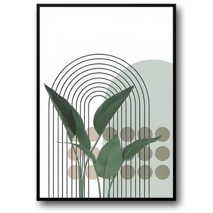 Tropical Botanical | Lush Greenery