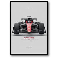 ALFA ROMEO C43: SPEED & PRECISION
