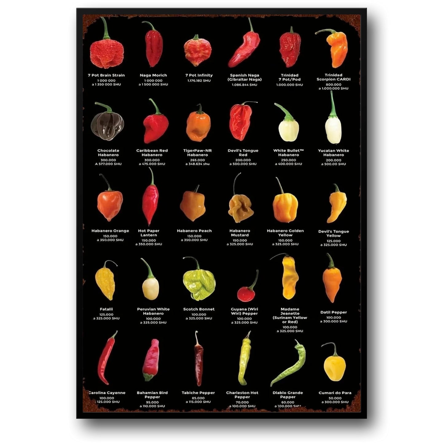 Vintage Kitchen | Peppers & Chillis
